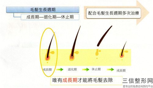 滄州市哪家整形醫(yī)院治療遺傳脫發(fā)做的比較好-滄州龐大夫醫(yī)療美容整形診所是權(quán)威專家上榜
